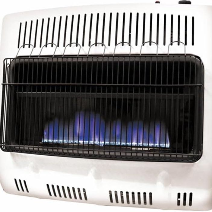 30,000 Btu Vent Free Blue Flame Dual Fuel Heater