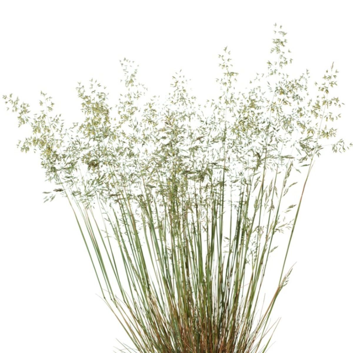 outdoor hanging pots for plants Elegance Hanging Basket - Small 30cm