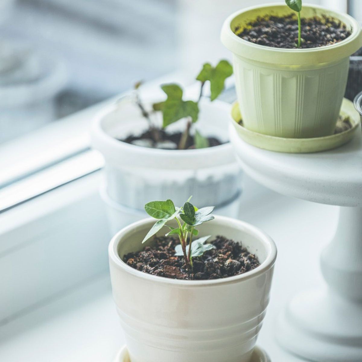 aesthetic painted plant pots Handpainted Flower Pot  HoneyGramz