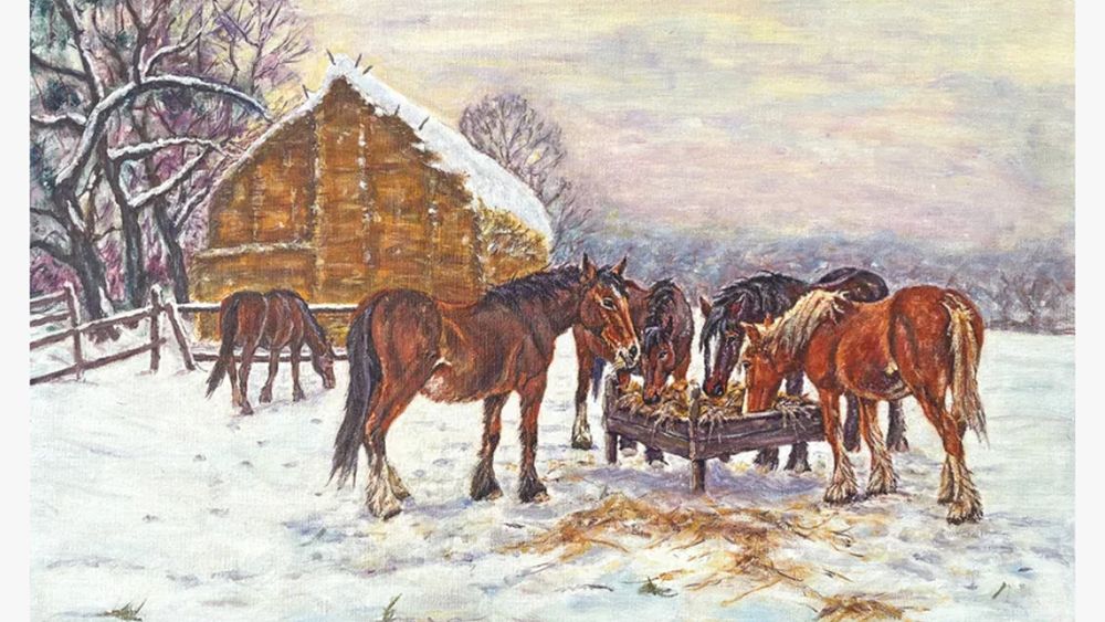 Redwings charity Christmas card Horses in the snow