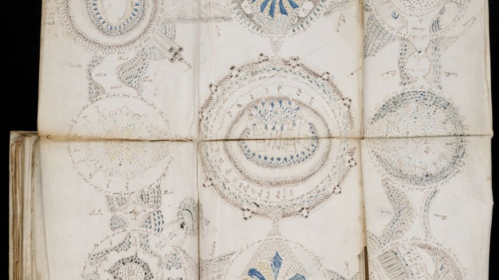 10 Words in Mysterious Voynich Manuscript Decoded | Live Science