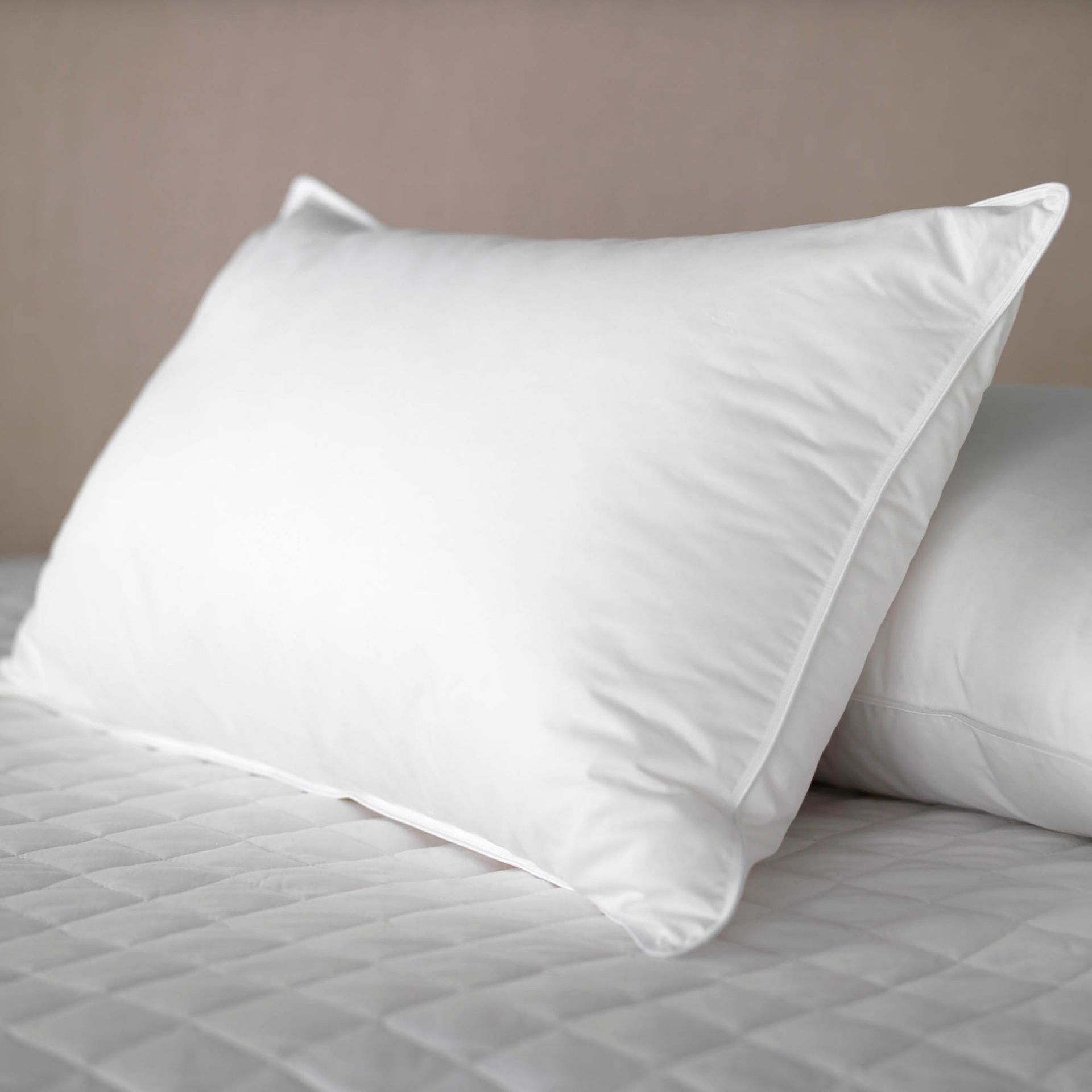 Natural Hungarian Goose Feather &amp;amp; Down Pillow - Standard / Medium