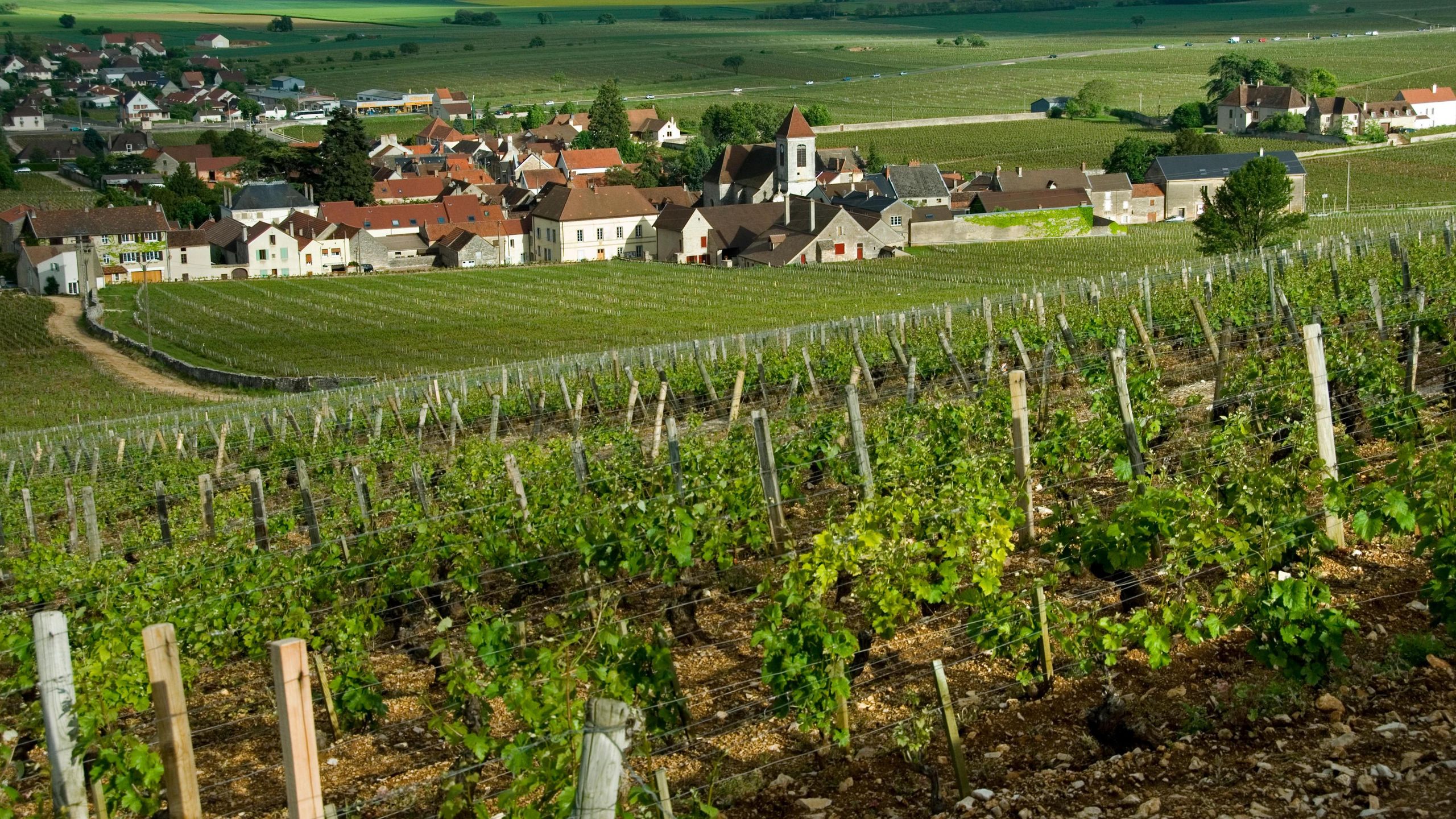 Top Morey-St-Denis 2020 en primeur wines | Decanter