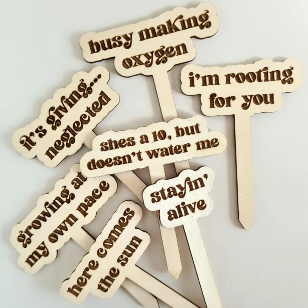 etsy, humorous plant stakes gift