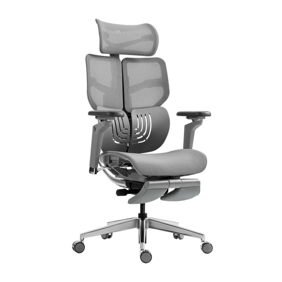 Hinomi X1 Ergonomic Office Chair