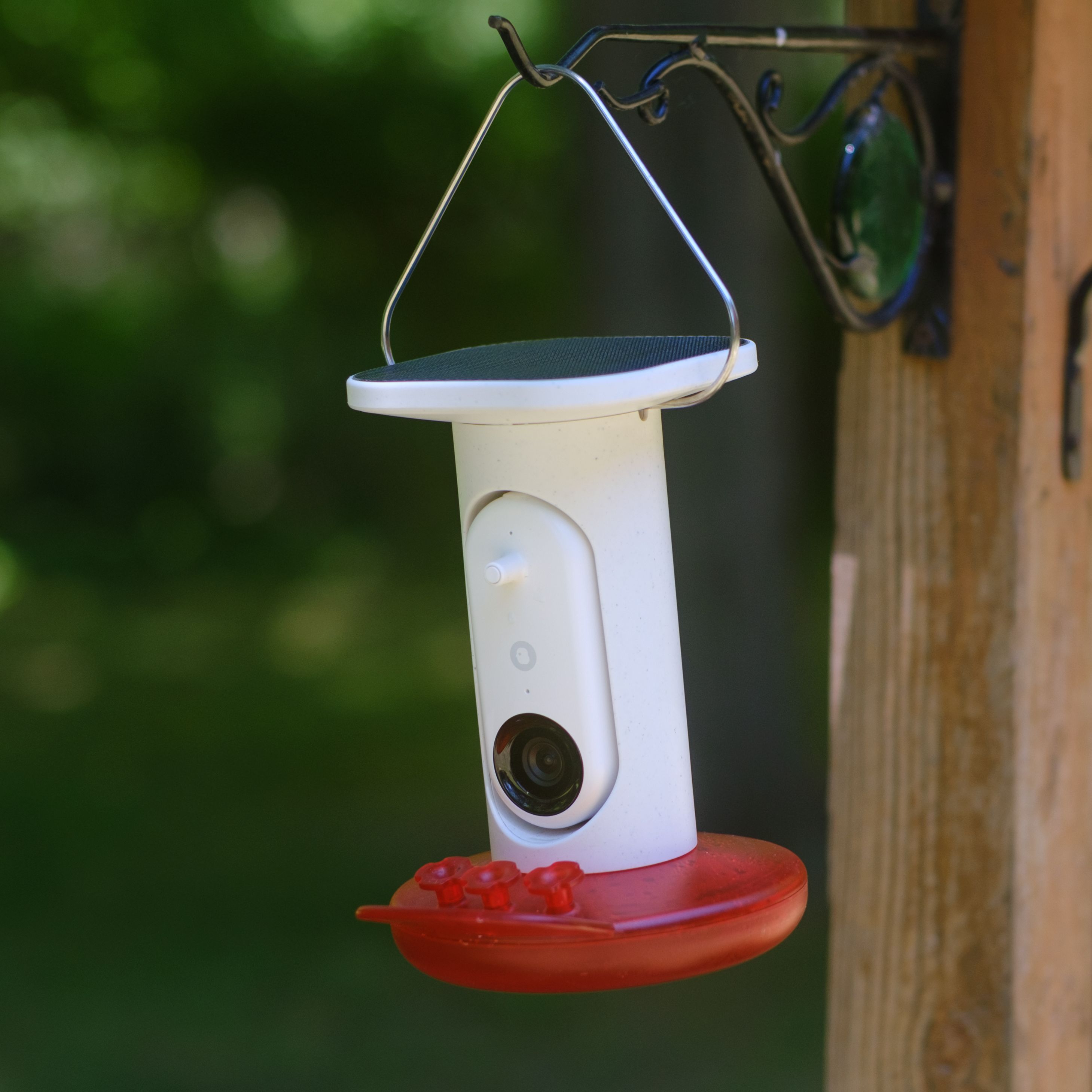 The Bird Buddy Smart Humming Bird Feeder photographed outdoors