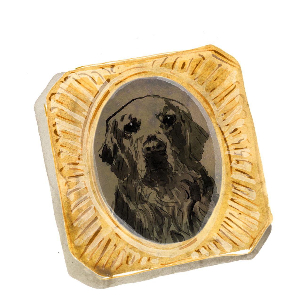 James Middleton's favourite things illustrations