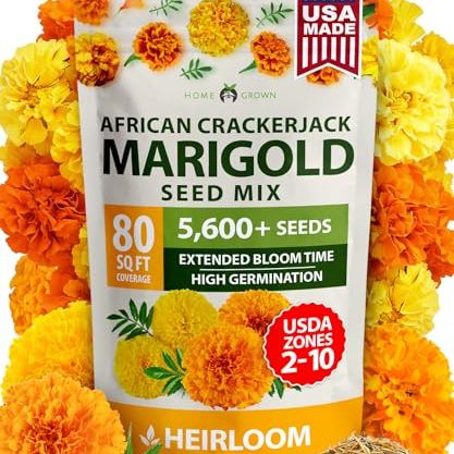 Home Grown Marigold Seeds Bulk Mix - 5600+ Crackerjack Marigold Flower Seeds for Planting Outdoors -Flowers Seed for Companion Planting -Wildflower African Marigold(tagetes Erecta)