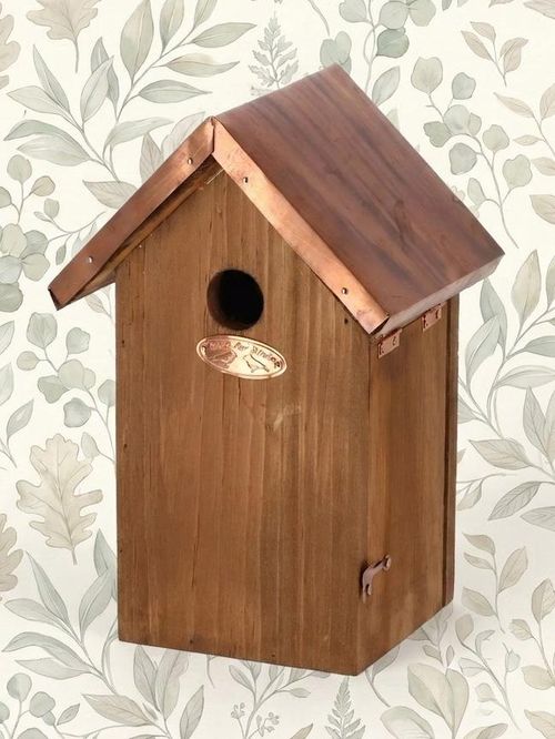 Fallen Fruits Pine Wood Blue Tit Bird Box