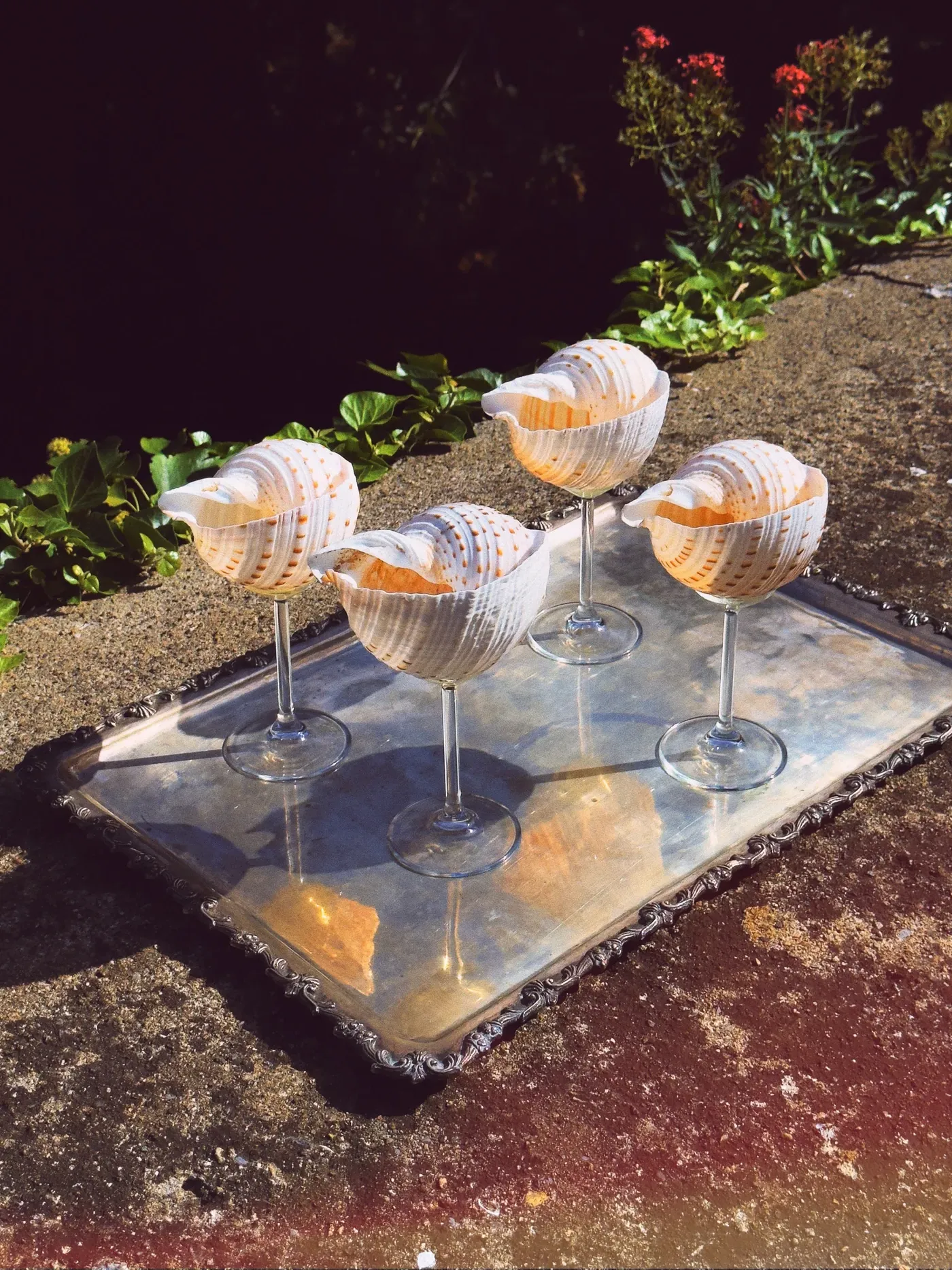 Hide and Stone, Multi - Shell Stemware
