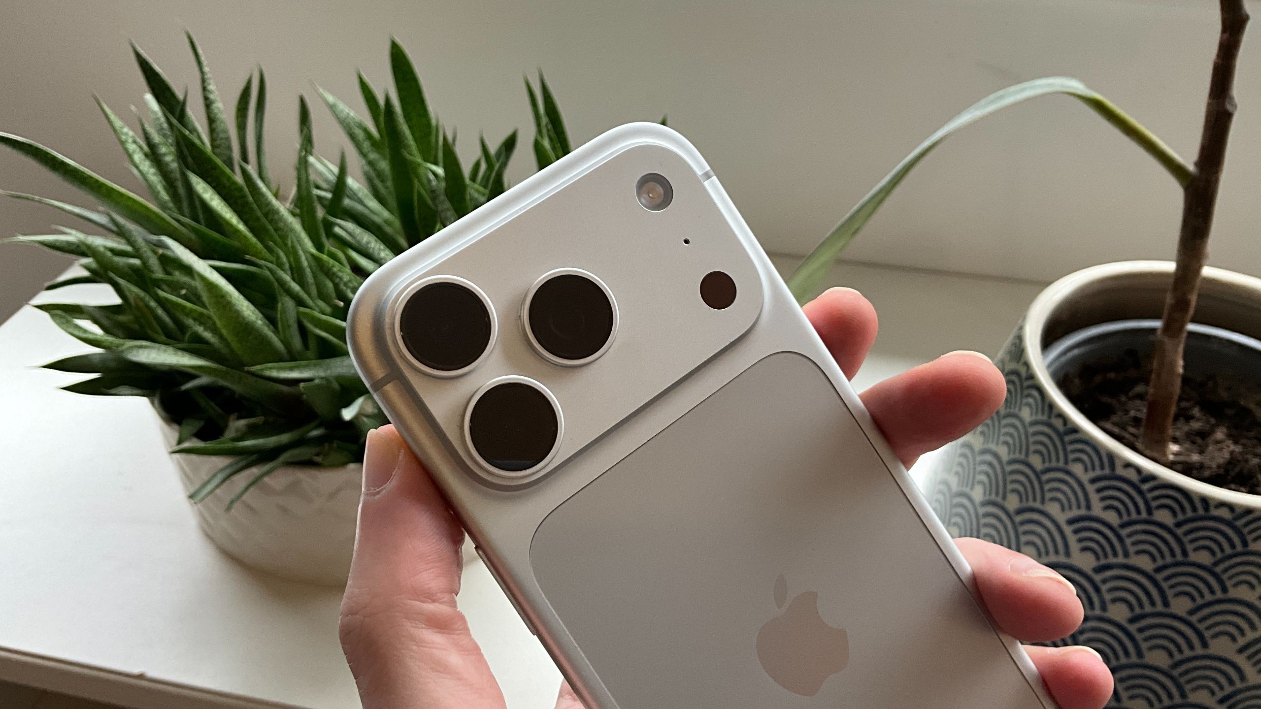 iPhone 18 Pro