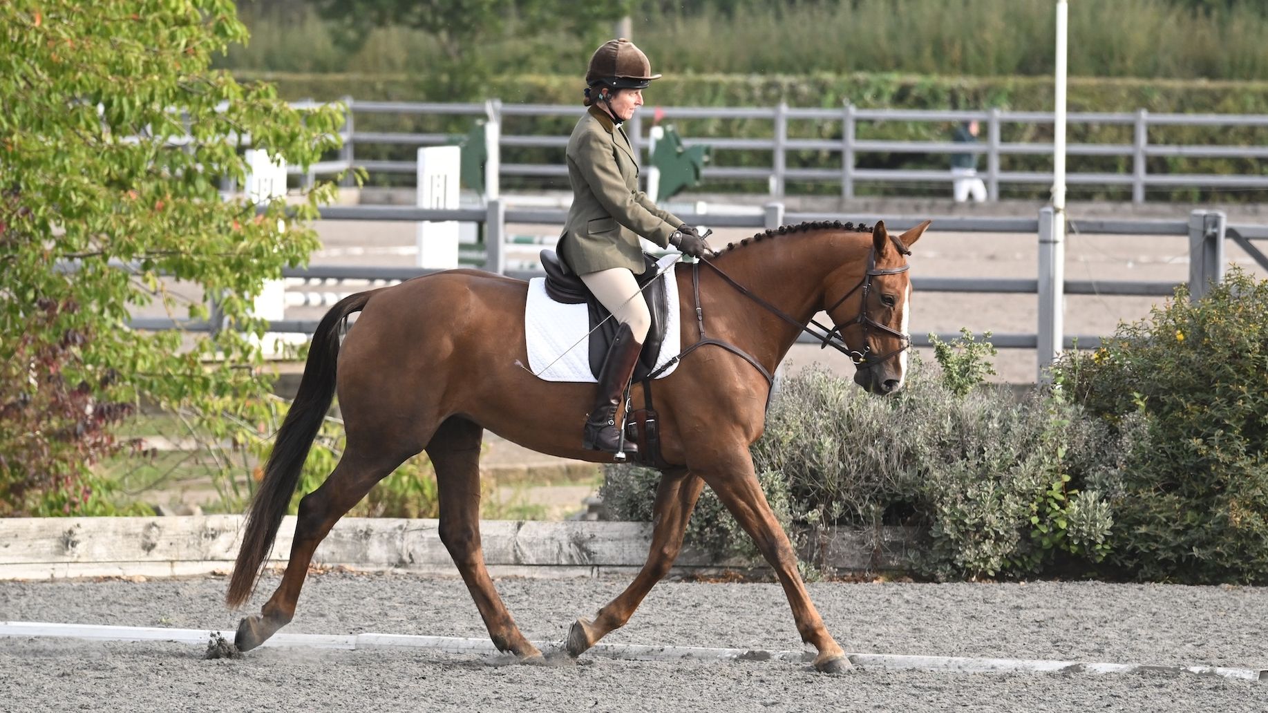 Lea Ryder and Copper Pot riding a dressage test
