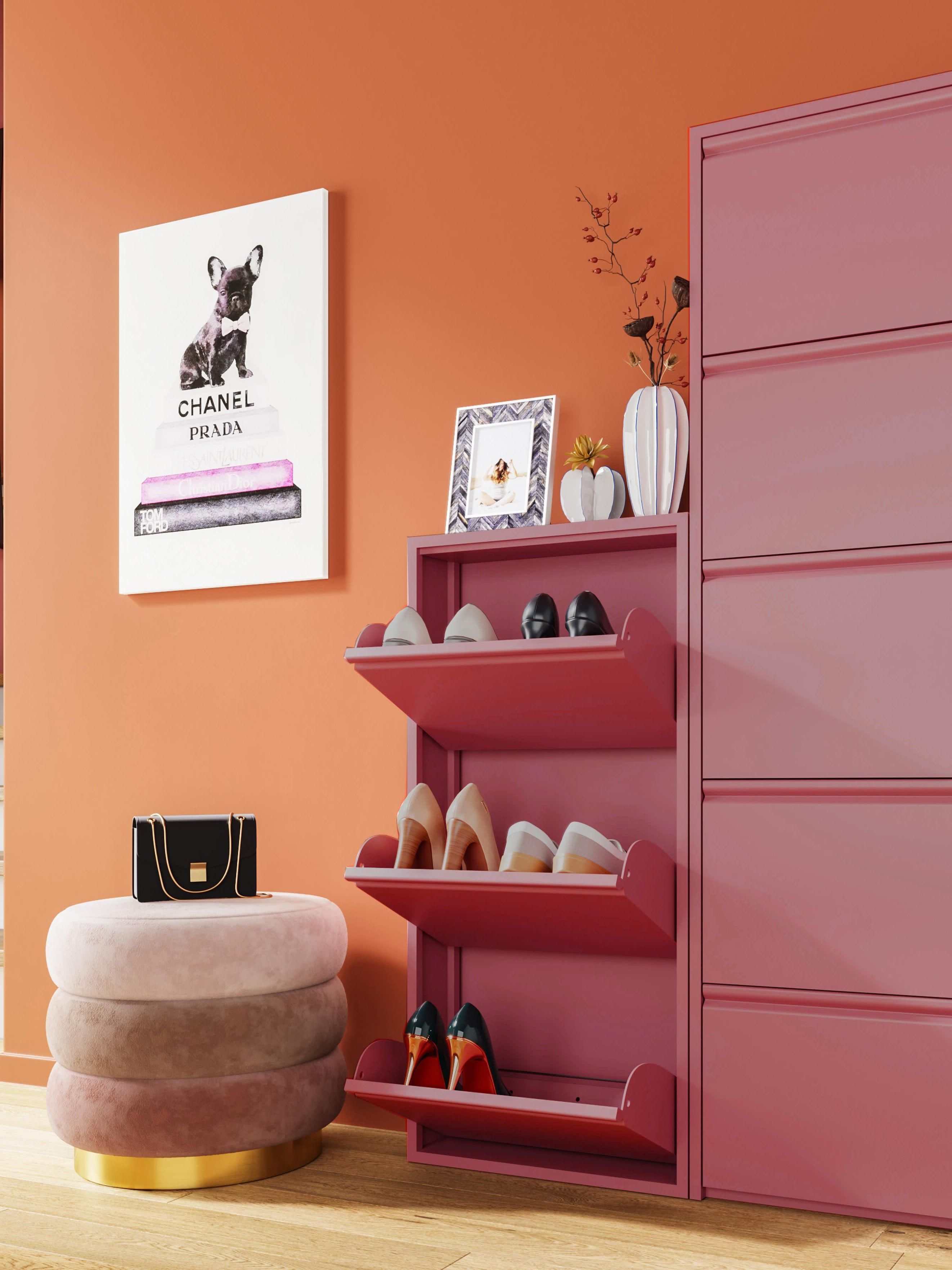 Fold Out Shoe Cabinet Caruso