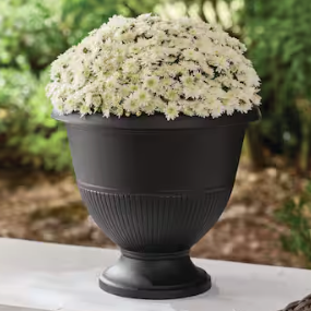 Solana Black Resin Urn Planter from