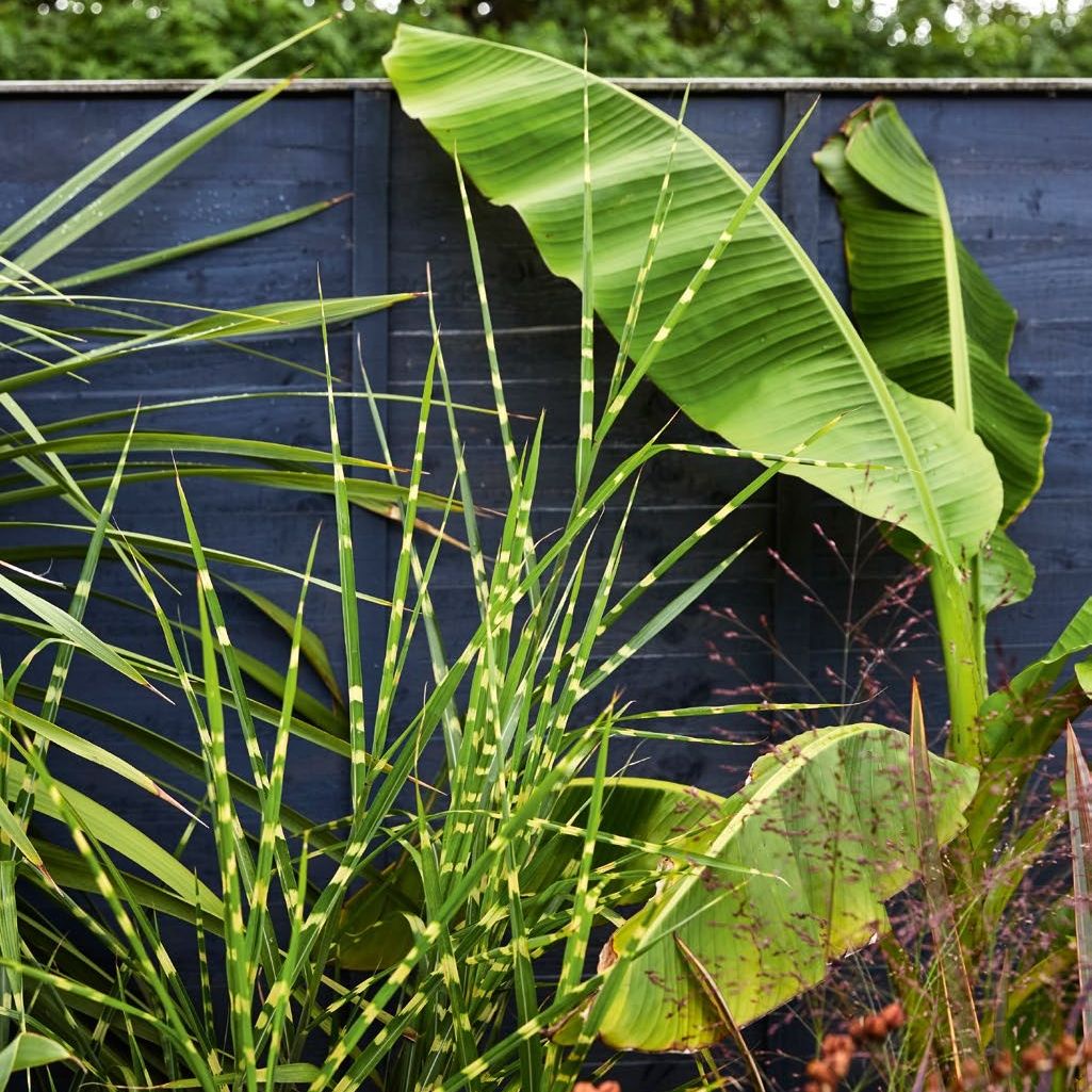 IDH322.plan.idh302_garden_project_anna_garden_09