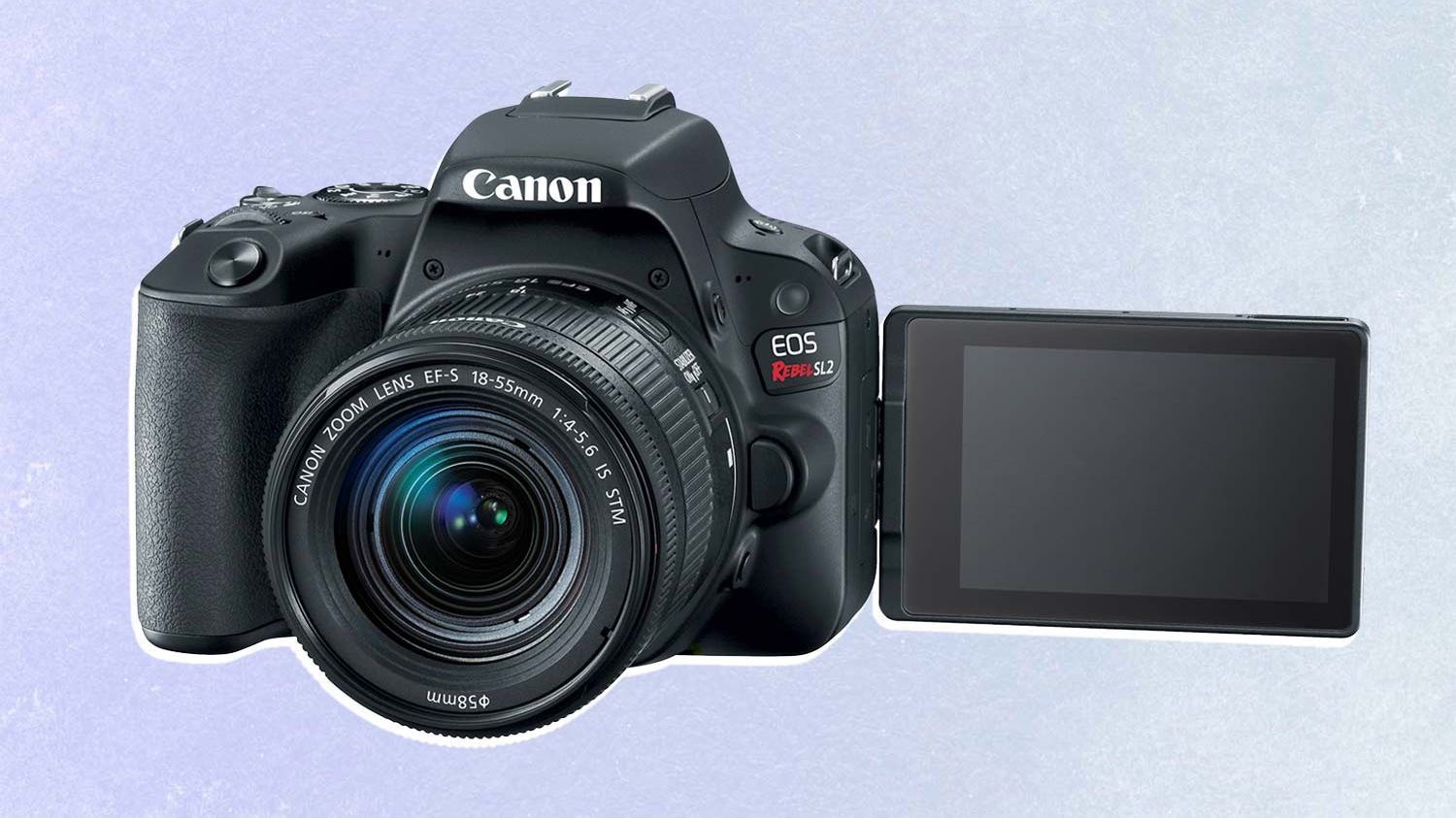 Canon EOS Rebel SL2 Review: Small on Size, Big on Image