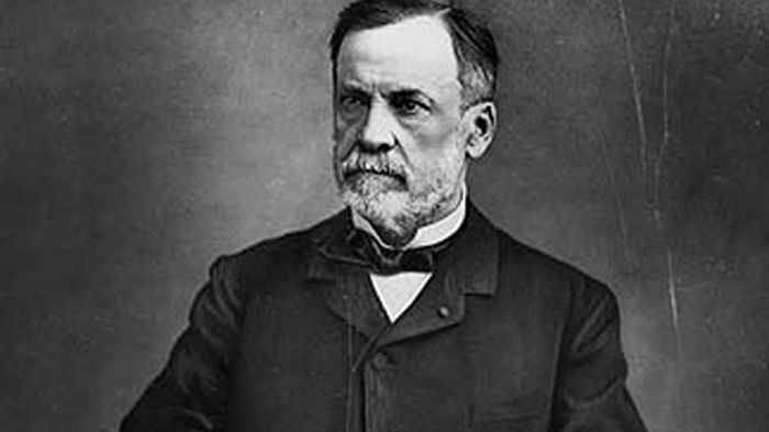 PDF) THE PRIVATE SCIENCE OF LOUIS PASTEUR. BY GERALD LYNN