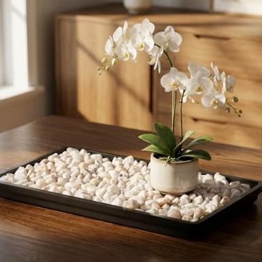 Brussel's 8&amp;quot; Humidity Tray With Decorative Rocks | 8&amp;quot; X 6&amp;quot; X 1&amp;quot;, Helps Maintain Humidity, Protects Surfaces From Excess Water, Decorative Rocks Included for Bonsai Display