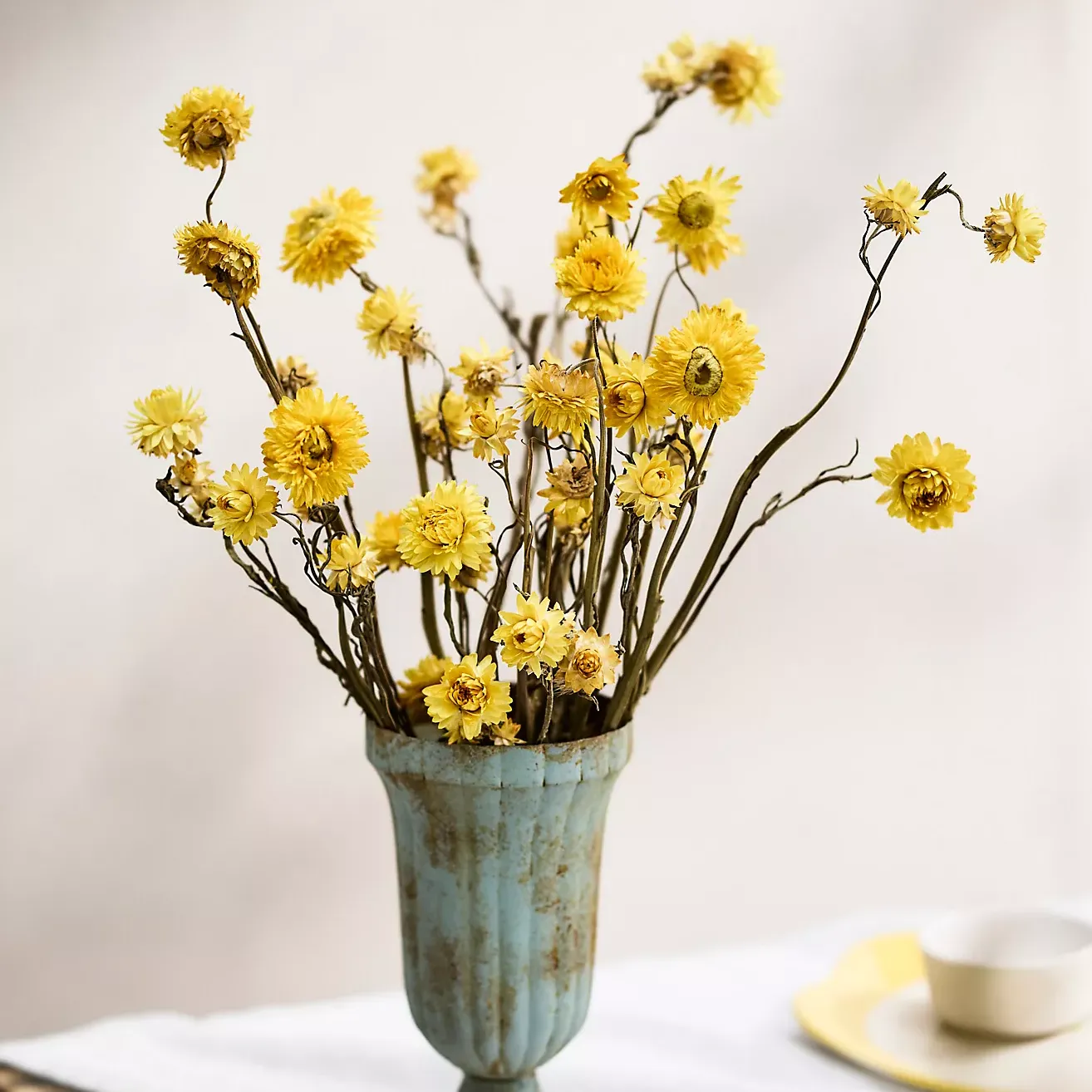 Dried Strawflower Bunch