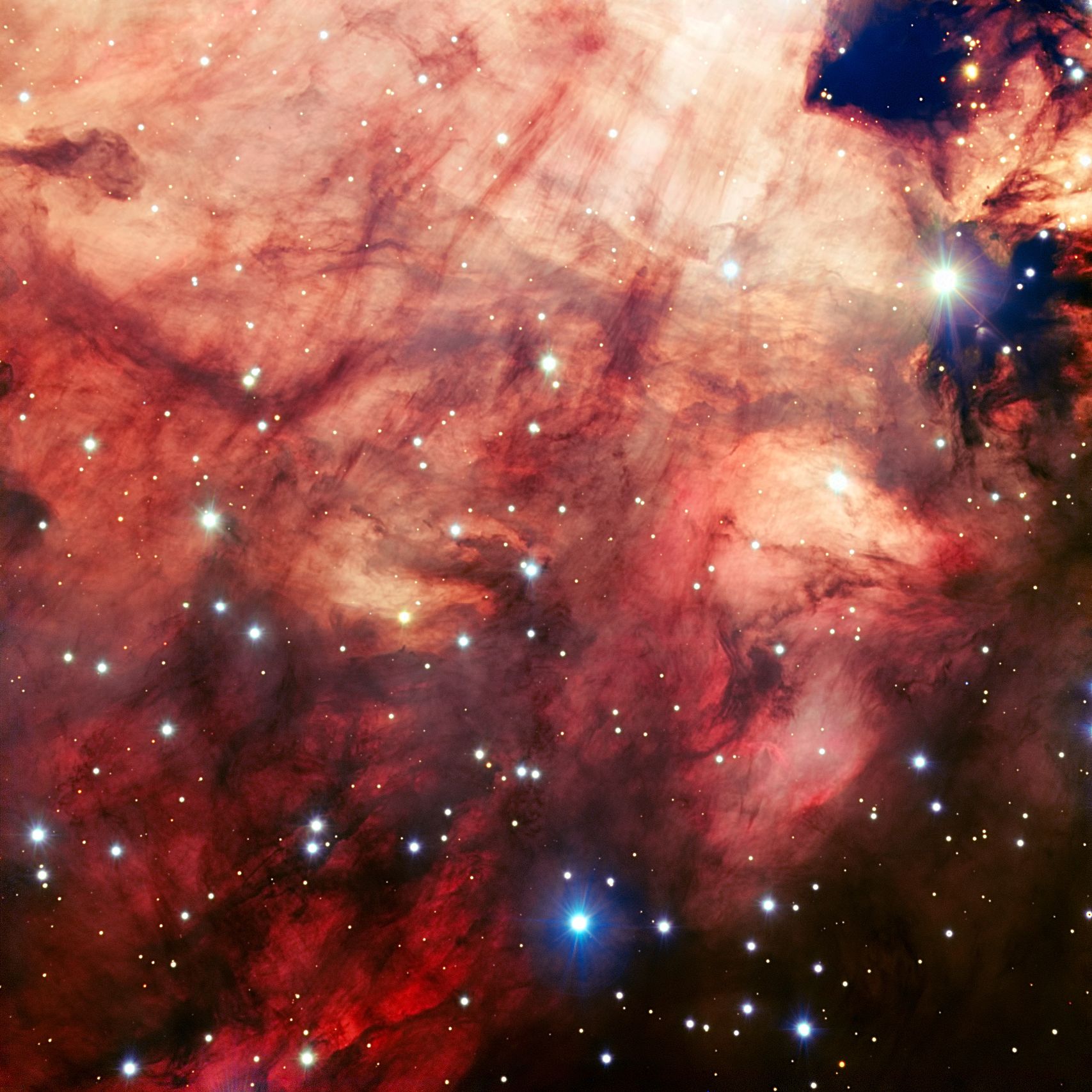 新品未開封　NEBULA BRIGHT IMAGE SEAMLESS 3r5Y7PuCa9jwpBNYcoEC4W.jpg