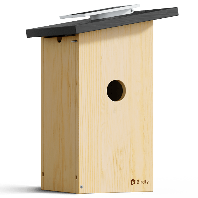 Wooden Smart Bird Feeder - Birdfy Nest Ebony