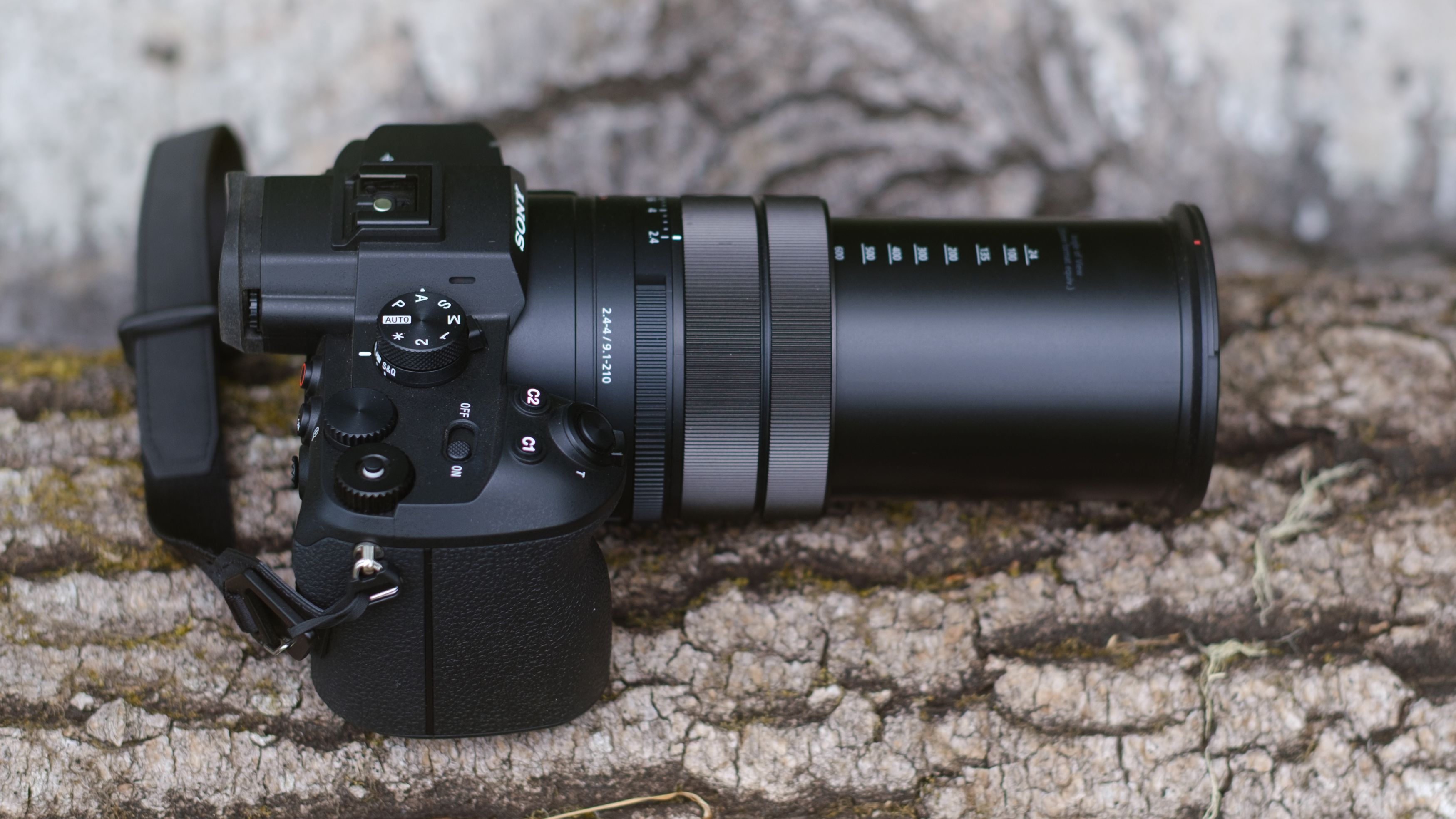 The Sony RX10 V photographed outdoors