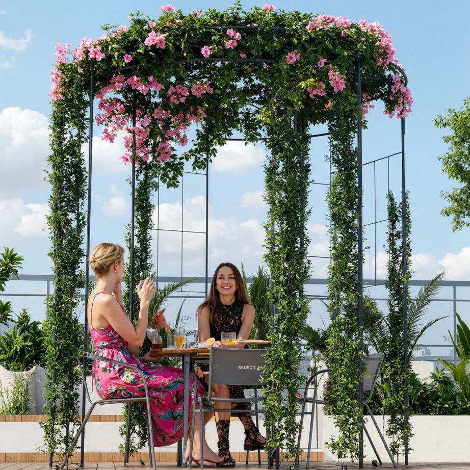 Arlmont &amp;amp; Co. Heavy Duty Birdcage Garden Arch Trellis &amp;ndash; 8.8ft Black Metal Arbor Pergola Pavilion for Climbing Plants, Roses, Vines, Outdoor Decorative Gate, Patio, Lawn, Backyard, Color: Black | Wayfair