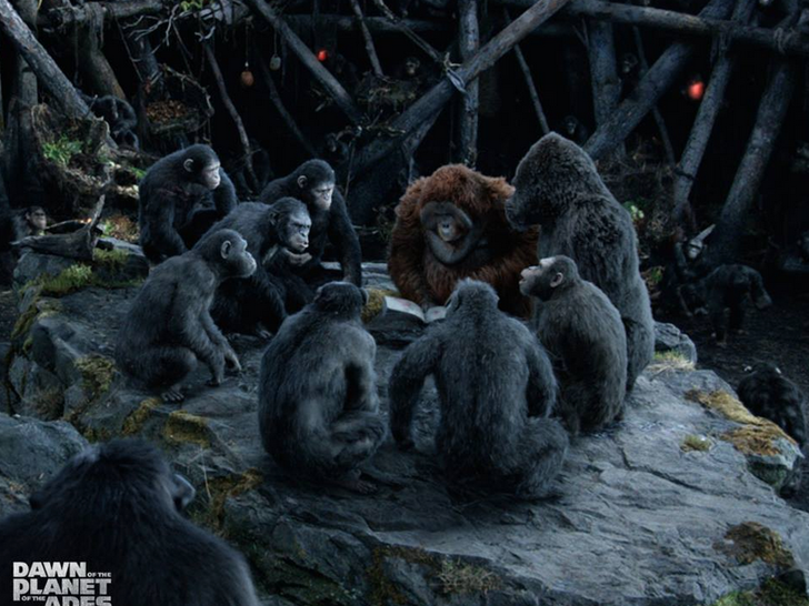 Actual chimps attend Dawn of the Planet of the Apes screening