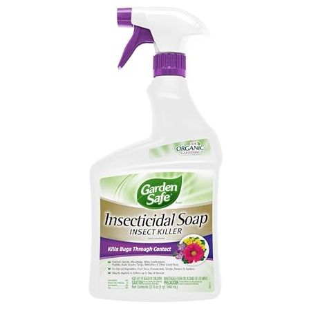 Garden Safe Insecticidal Soap Insect Killer Spray, 32 Oz | for Organic Gardening, Ready-To-Use Spray Controls Aphids, Mealybugs, Mites &amp;amp; Other Listed Insects, Use Indoors &amp;amp; Outdoors