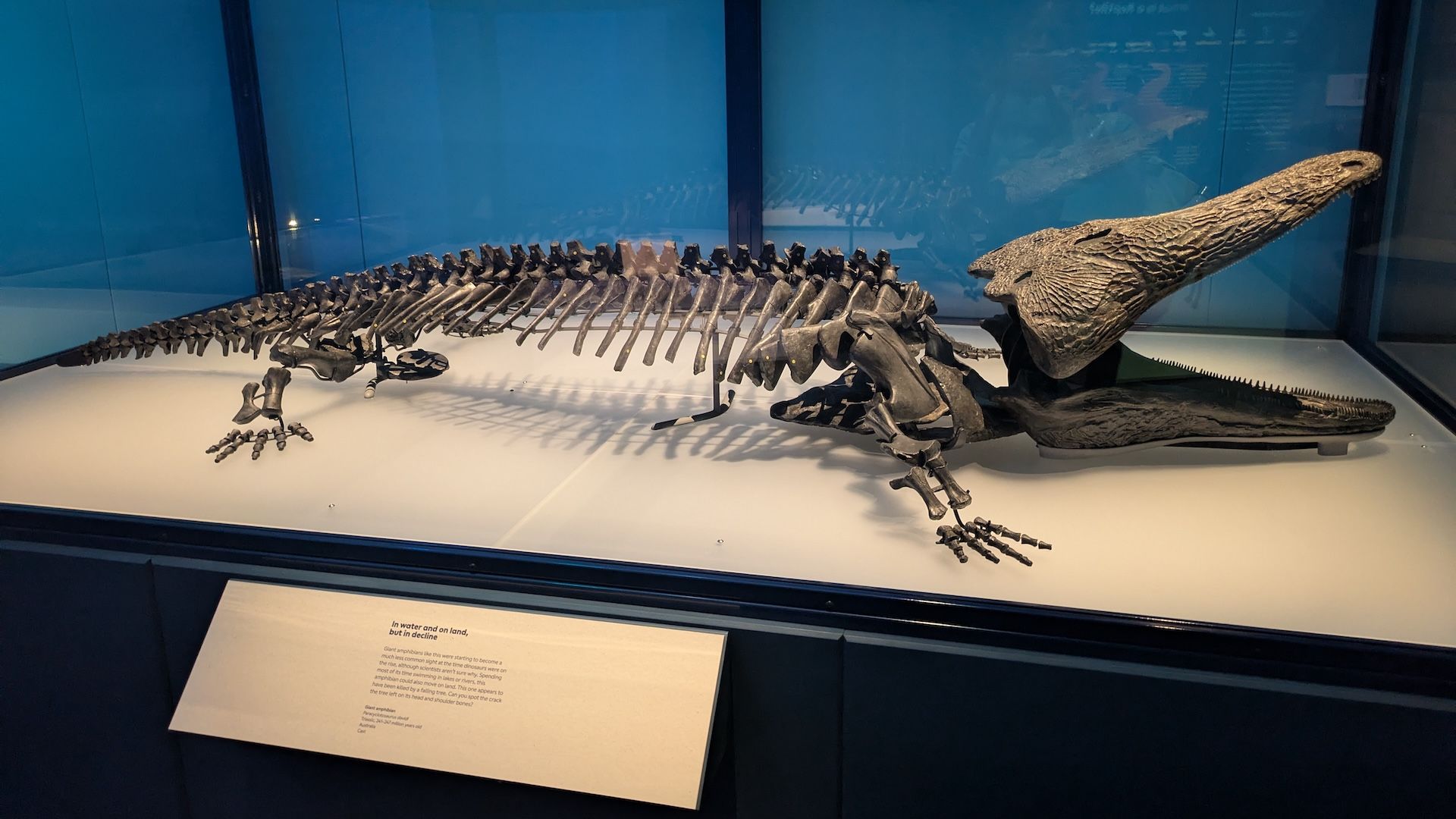 Natural History Museum