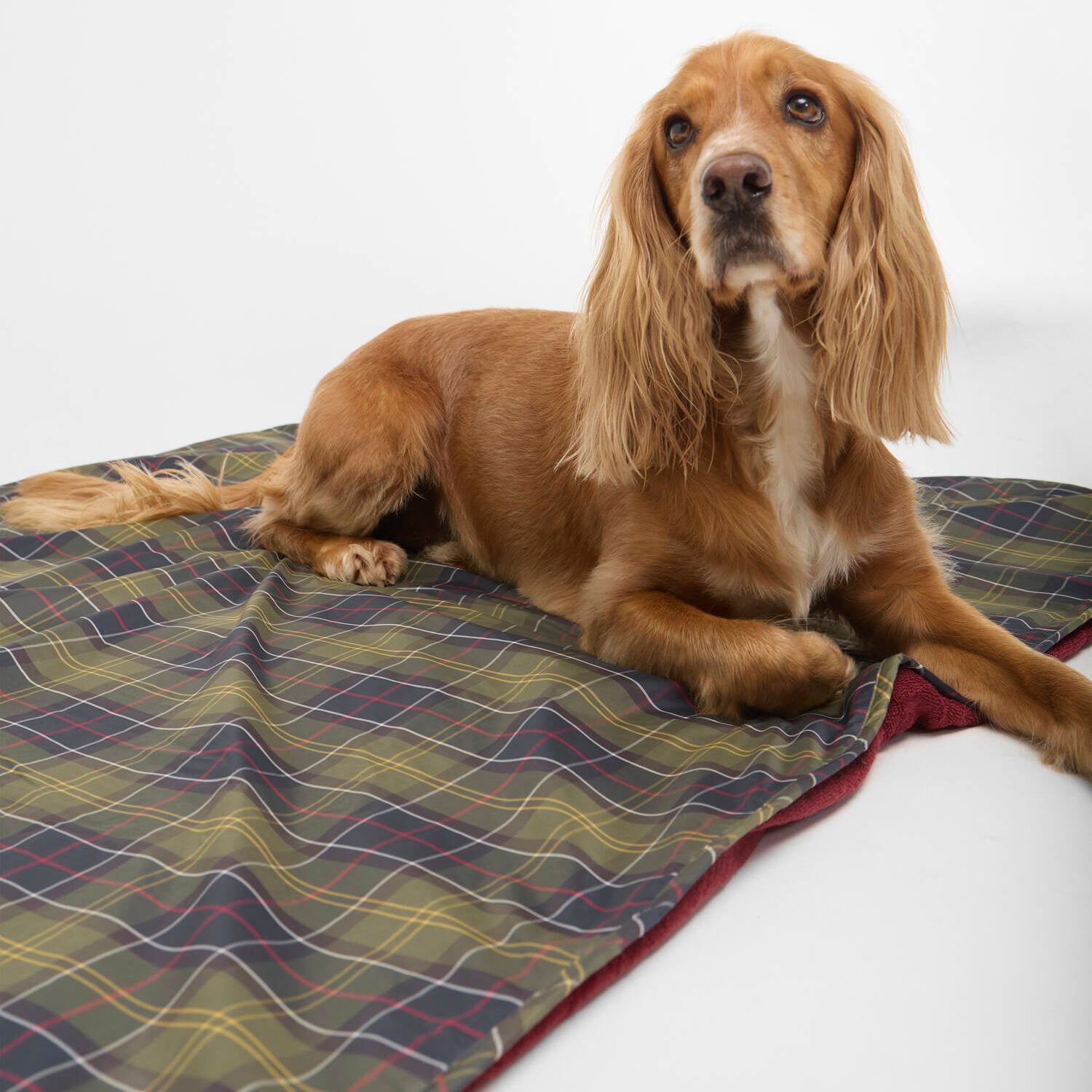 Dog Towel/blanket