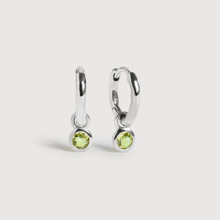 Image of silver earrings