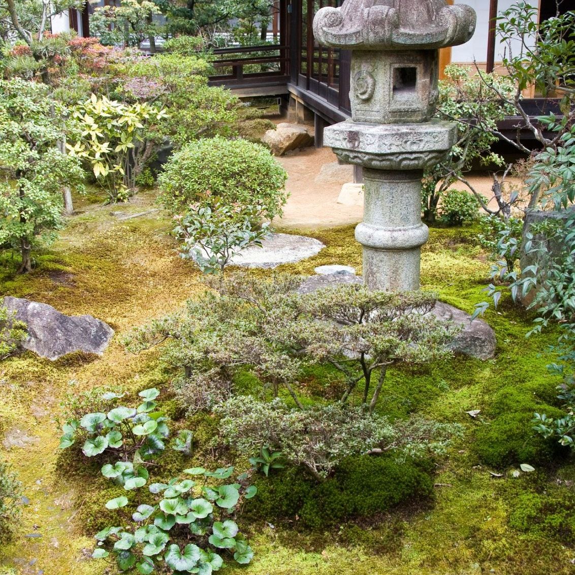 What Is A Zen Garden - Information And Tips For Creating Zen Gardens |  Gardening Know How, image size:1132x1132