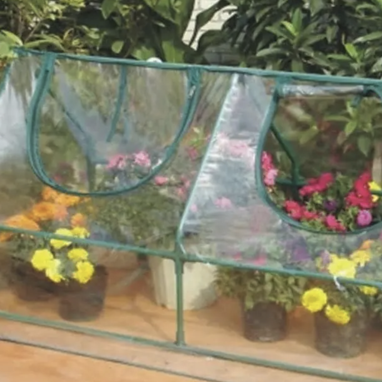 True Leaf Market, Greenhouse Cloche