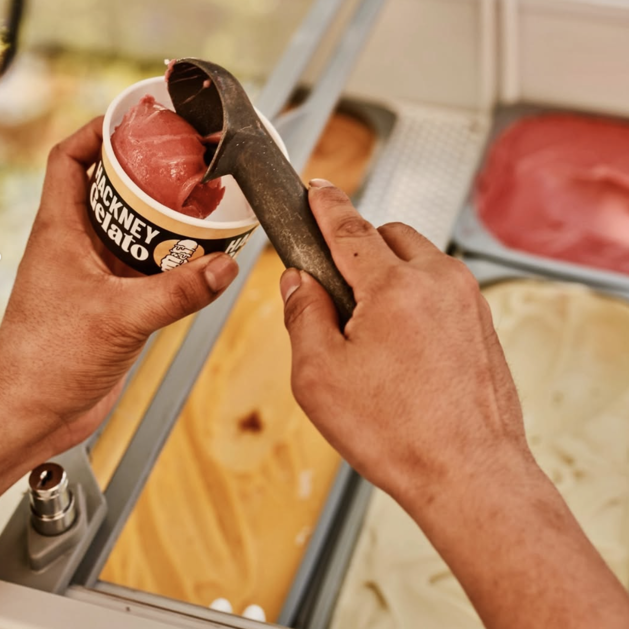 an image of a scoop of Hackney Gelato raspberry sorbet being added to a po