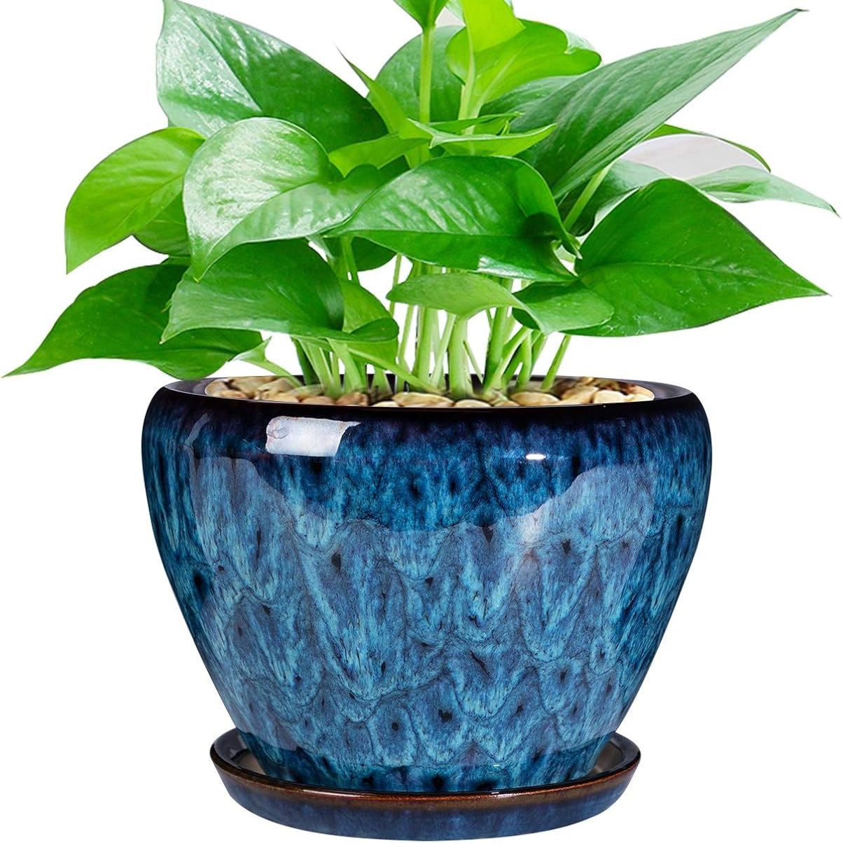 Ceramic Modern Glaze Succulent Planter Pot With Drainage Hole and Saucer 6 Inch Round Flower Plant Pot for Indoor Outdoor Herb Snake Plants