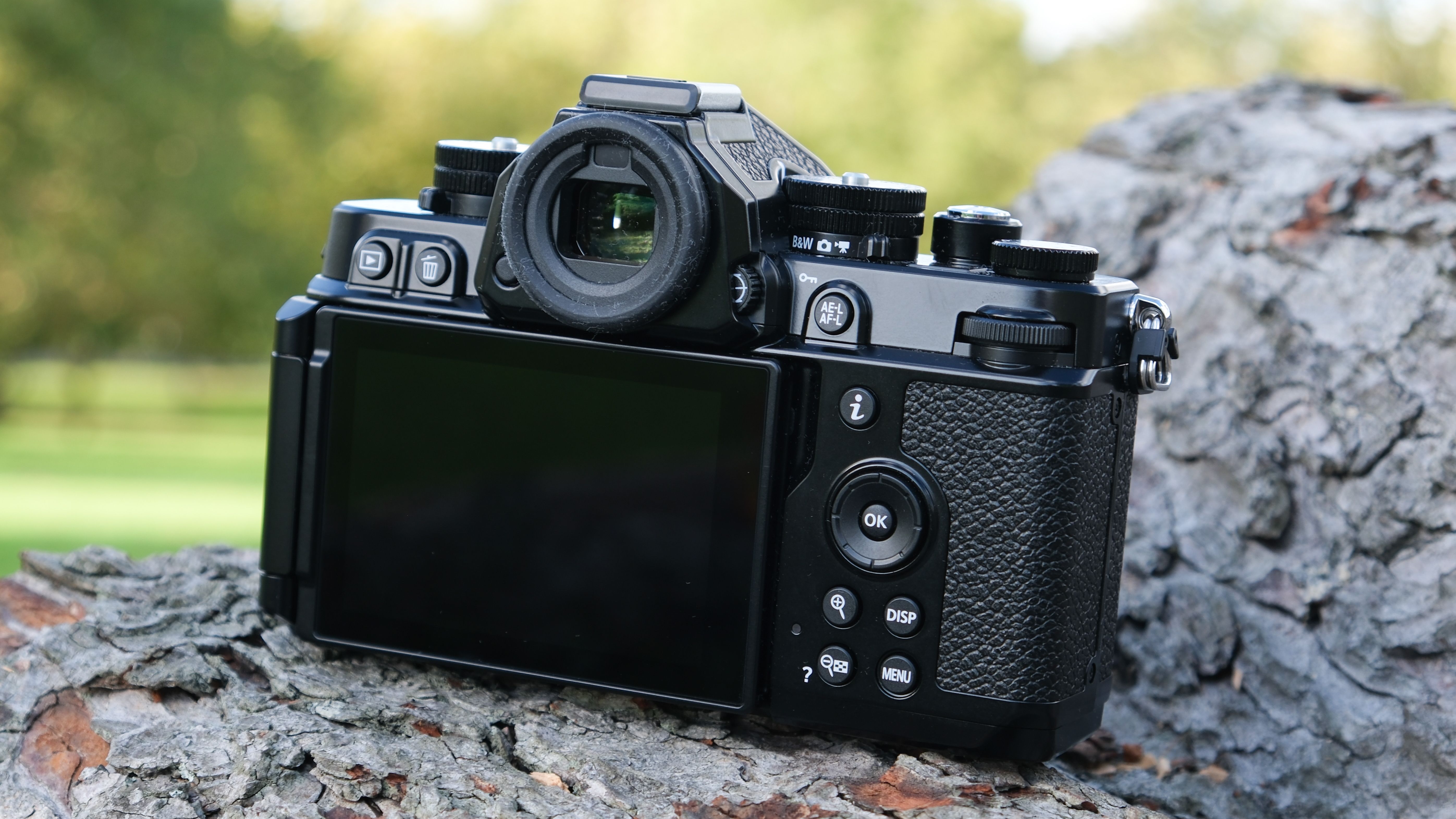 Nikon Zf camera on a tree stump