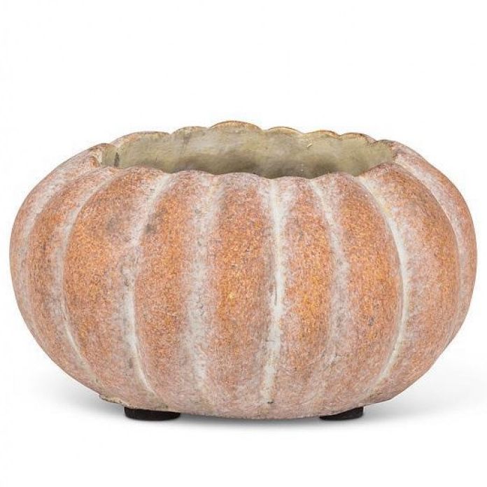 Rosalind Wheeler Mini Low Pumpkin Planter | Wayfair