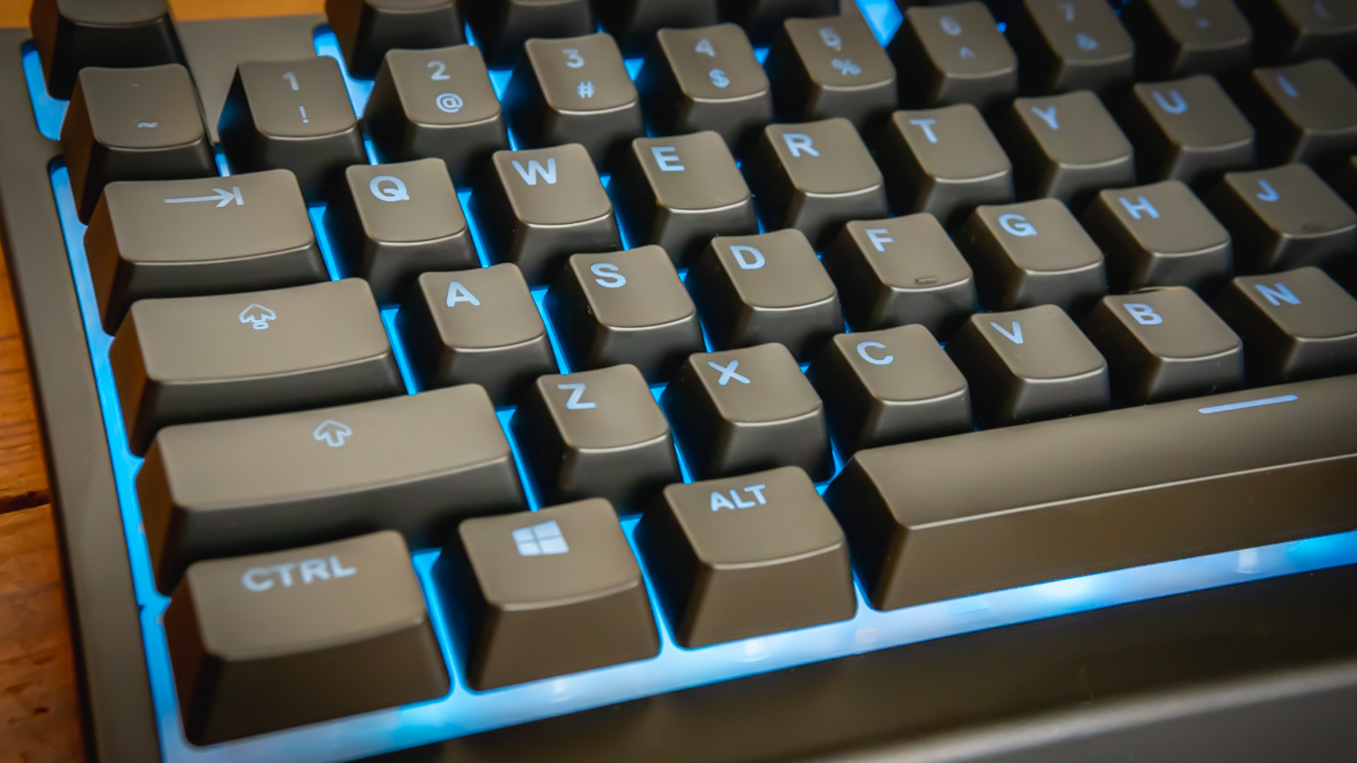 SteelSeries Apex 3 TKL Review: Can Do More than Most for Less
