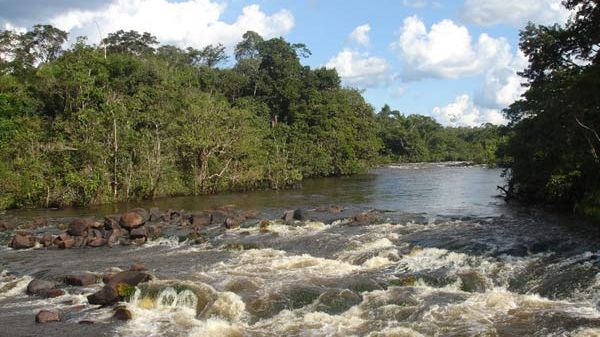 Exploring Logging and Road Development in the Amazon Rain Forest