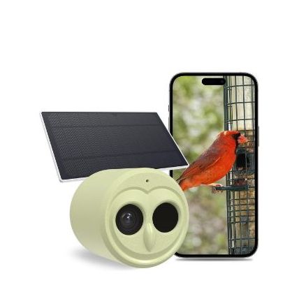 Bird Watching Camera