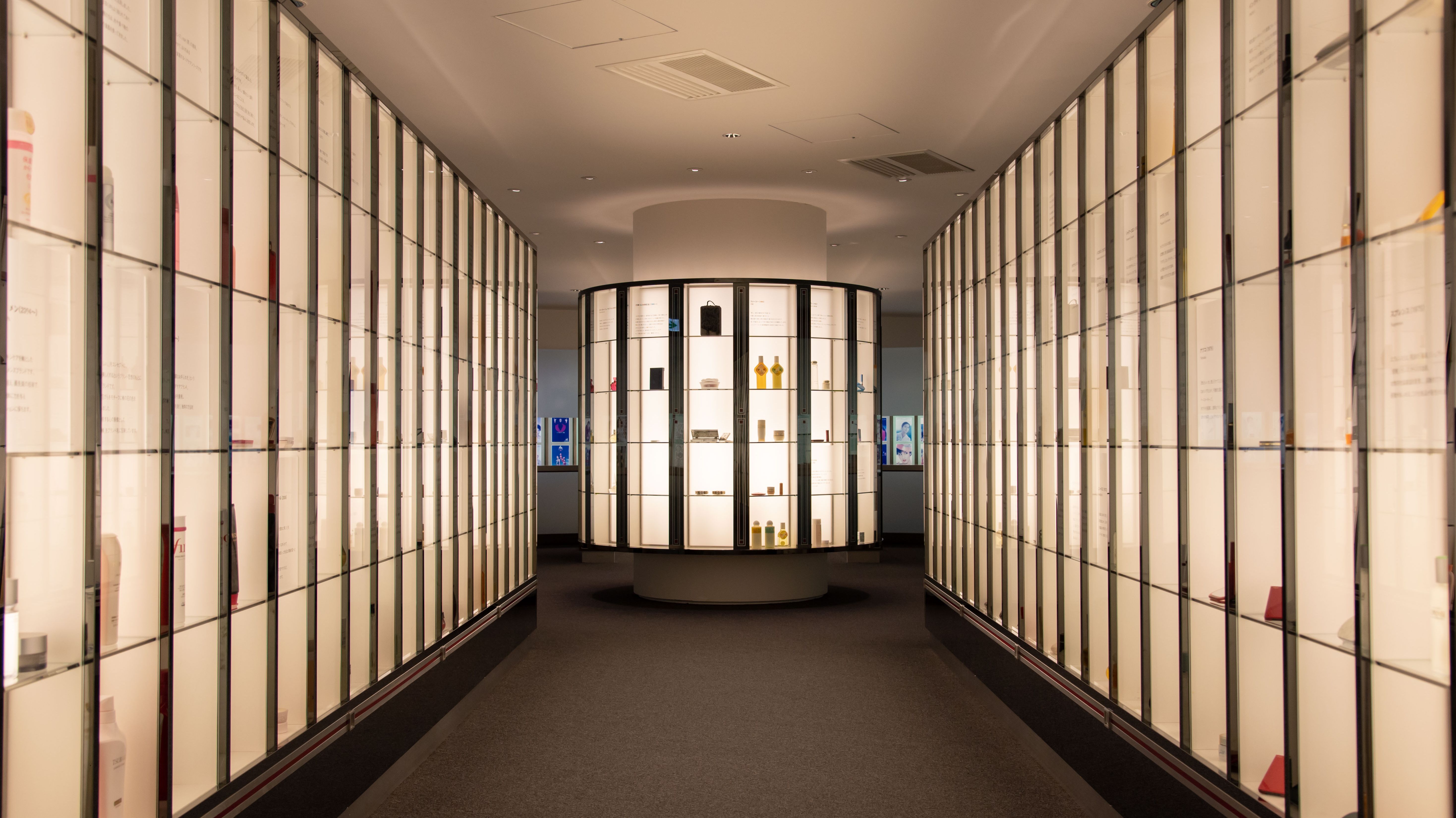 アート・デザイン・音楽 CREATIVE WORKS OF SHISEIDO Past Exhibition | Pulse of Beauty Shiseido's Creative Works