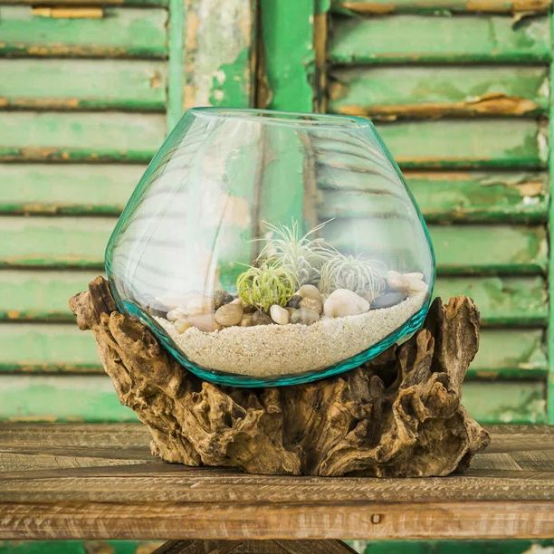 Wayfair terrarium