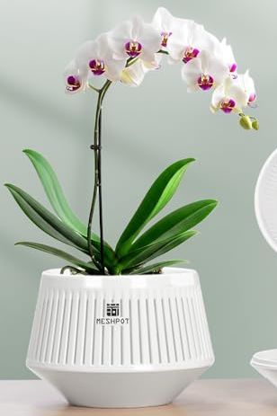Meshpot 5 Inch Orchid Pots With Holes for Repotting,set of 1,decorative African Violet Pots With Air-Pruning and Good Air Circulation,plastic White Orchid Planter With Saucers