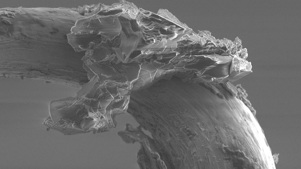 Microscopic 'Speck' of Asteroid Dust Gets an Incredible