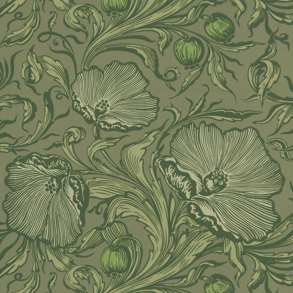 Poppy Trail - Sage Green