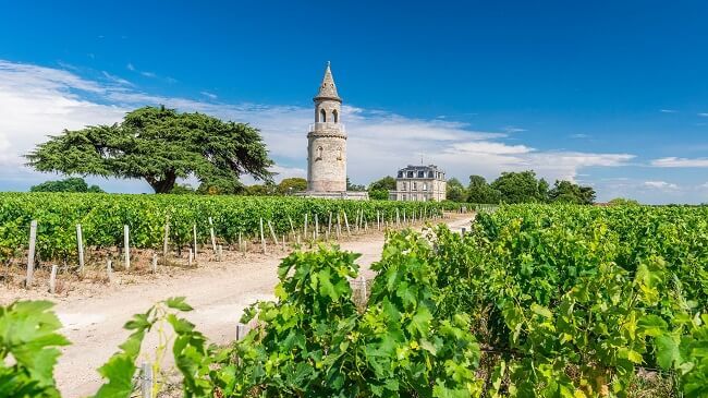 Best Château la Tour de By wines: Vintages to look for | Decanter