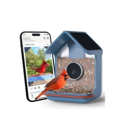 Birdbuddy Smart Bird Feeder