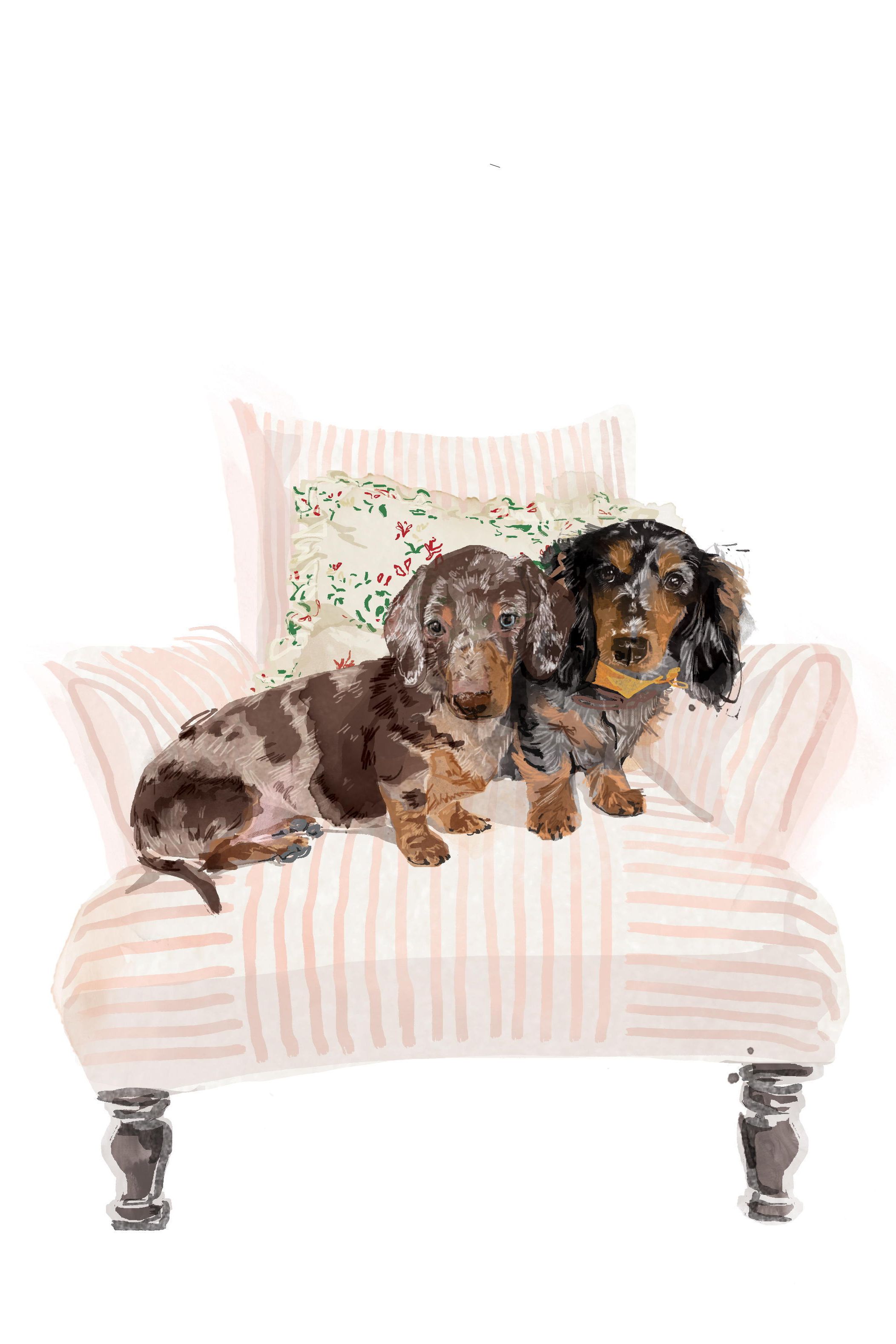 An illustration of two sausage dogs sitting on a pink stripe armchair