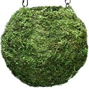 Supermoss (29348) Kokedama Planter, 6&quot;, Fresh Green